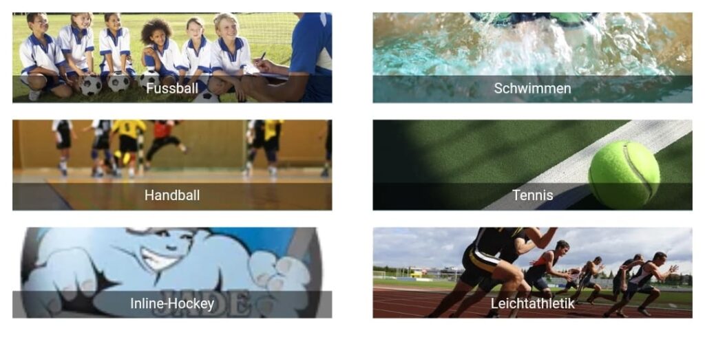 die 6 Abteilungen des VFL